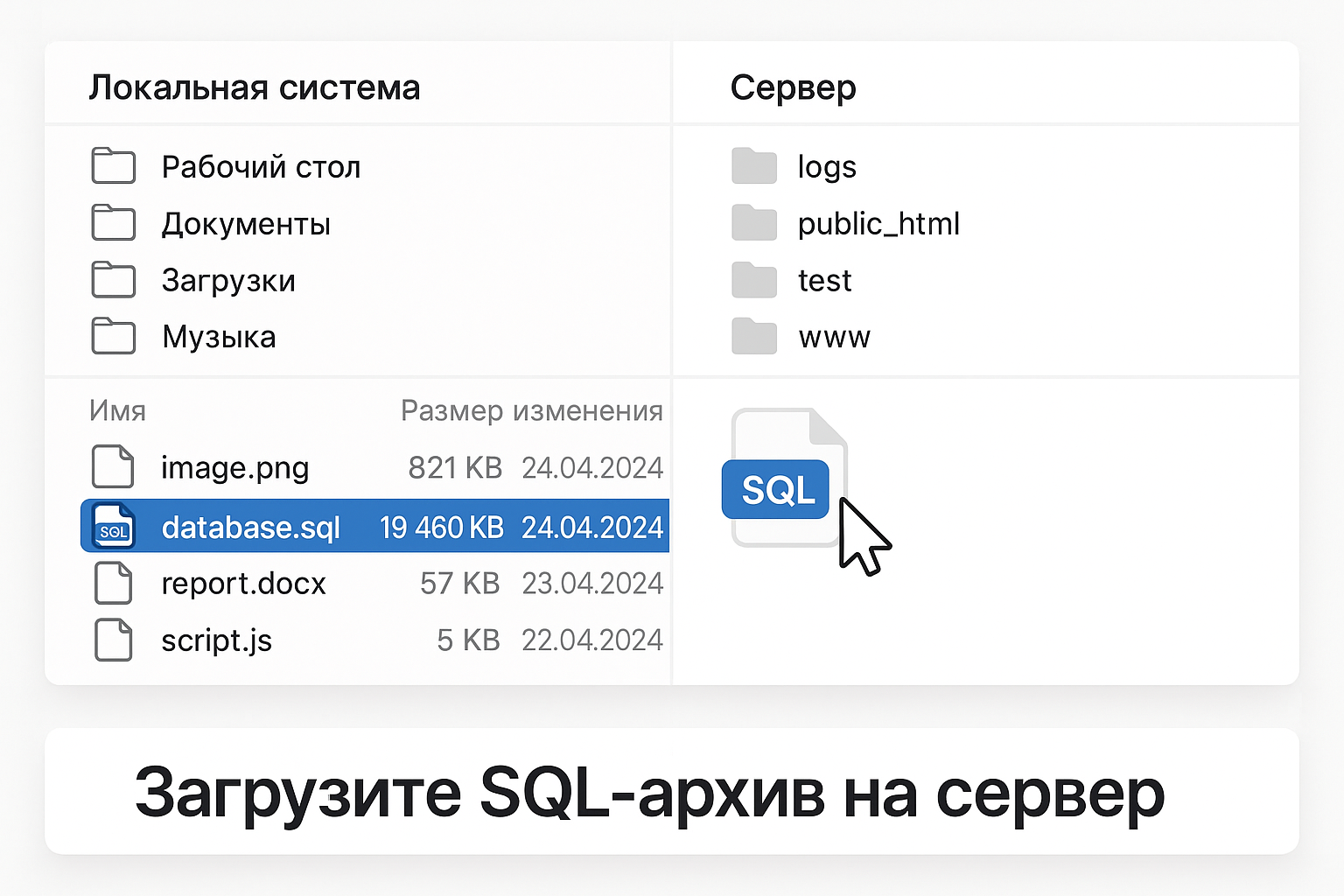 FTP � SQL �����������
